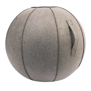 Workout Ball 25 Inch